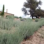 Holiday Home Su Niberalzu