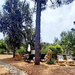 Villa Assunta