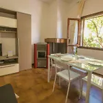 5 Minutes From The Seafront -Apartment & Garden