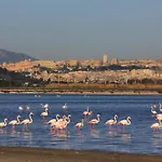 Paquja