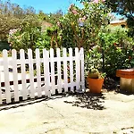 Mirto