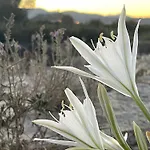 Sunrise Sardinia Posada