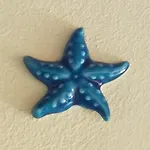 Stella Marina Blue