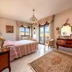 Dolfi Grand Loft