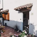 Cactus Comfort Apartment