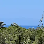 Alma