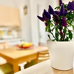 Nonnu Miu Apartment - Free Parking - 10Min Car Poetto