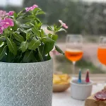 La Casetta In Campagna