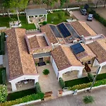 Maristesi