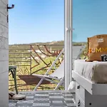 Lu Gamasinu Di Ziu Vittorio