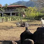 Finca Ometepe