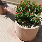 Casa Sandalyon