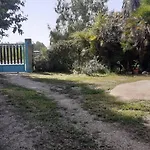 Isuedda