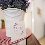 Casa Iris