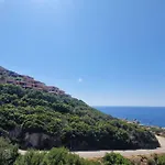 Nido Blu 2