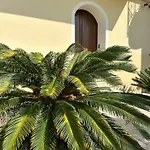 Dei Lidi'S House