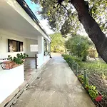 Panorama Apartment