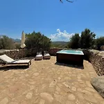 Petra D'Arana