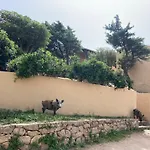 Casa Da Iulia Usselmann