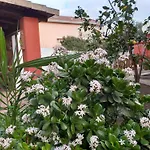 I Due Ciuchini Sardinia