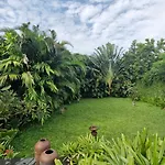 Ivy Villa