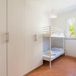 Apartamento Sintonia
