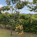 Villetta Con Grande Giardino Vicino Alla Spiaggia Di Campus Villasimius