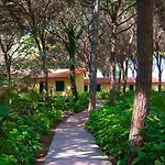 Villa Immersed In The Pine Forest In Sardinia