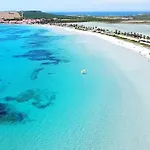 Lupo Di Mare