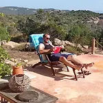Vaddibona