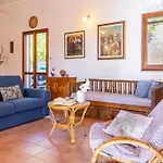 Villa Olive Tree, Immersa Nella Natura Per Relax E Quiete