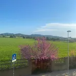 Domu