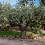 Solaria - Villa Luddui
