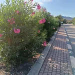 Grazioso Bilocale A Porto Rotondo