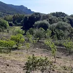 Agriturismo I Tre Vitigni Appartamento Moscato