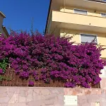 Bouganville