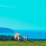 Agriturismo Il Ginepro