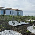 Fiori Di Cactus