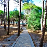 Happy Camp Mobile Homes In Selema Camping