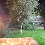Villa Margherita