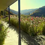 Betegi Guest House