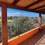 Il Fenicottero 2