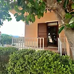 Camera Ficus