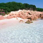 Sea Paradise Apartment