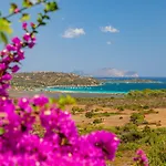 Apartment Bilo 4 - Lu Nibareddu By Interhome
