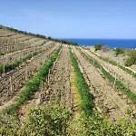Villa Del Gheppio