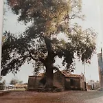 Il Telaio Sardo Bonarcado