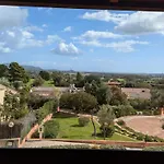 Mirto 29
