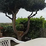 La Casa Di Amalia