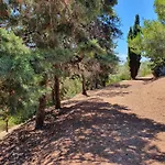 Sardinia Re - Green Val